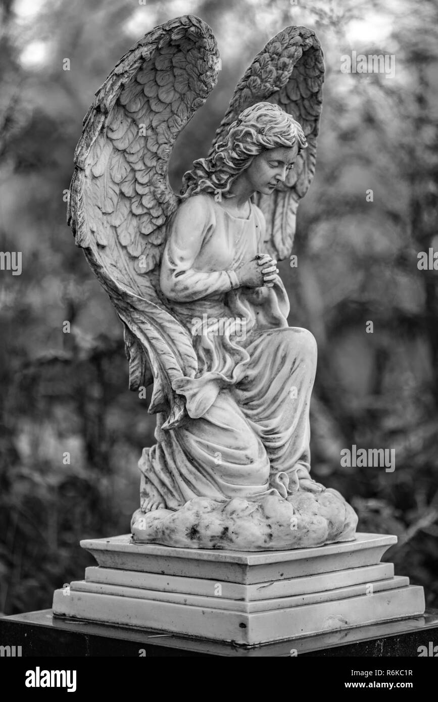 Guardian angel Black and White Stock Photos & Images Alamy