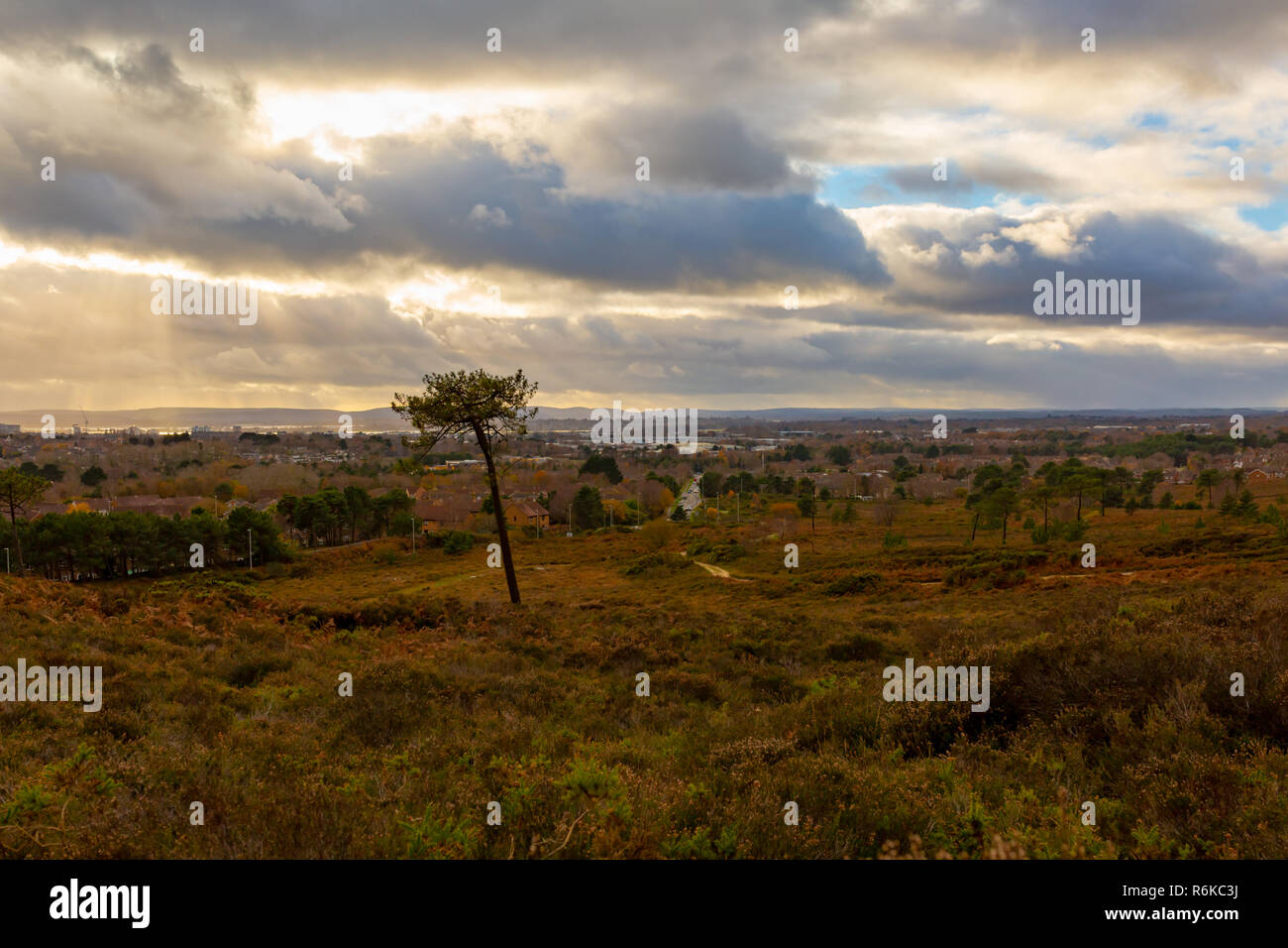 Landscape photograph taken on Canford heath nature reserve looking out onto Poole town under a dramatic cloudy sky. Stock Photo