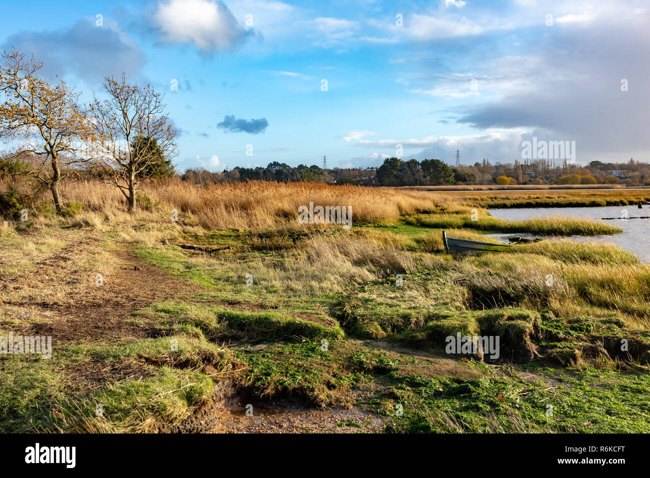 Landscape photograph of a grassland and wetland habitat with abandoned boat in frame. Stock Photo