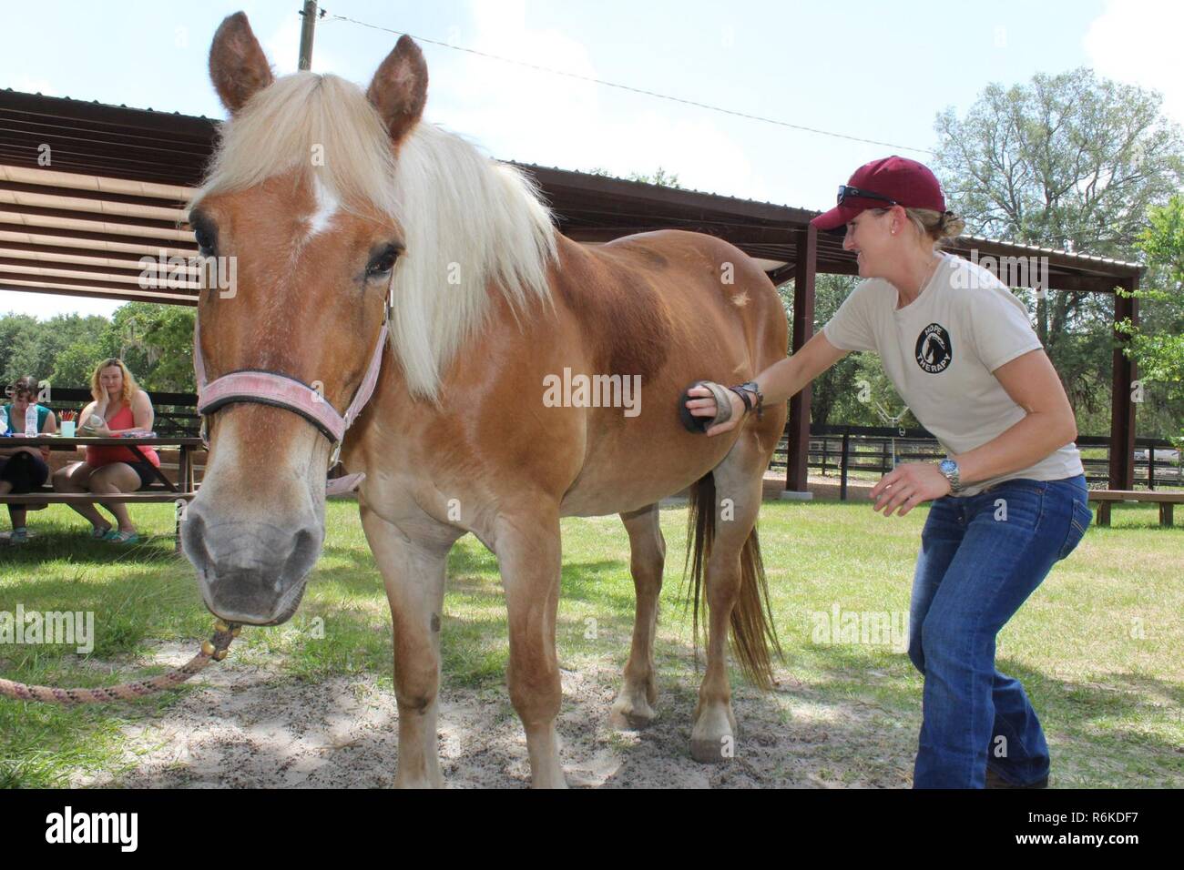 Veterans group therapy hires stock photography and images Alamy