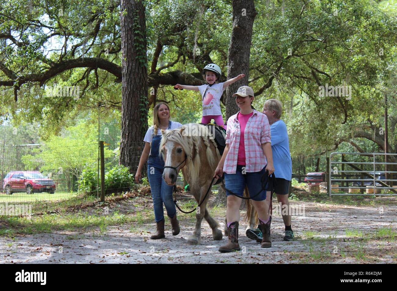 Richard miller horse hires stock photography and images Alamy