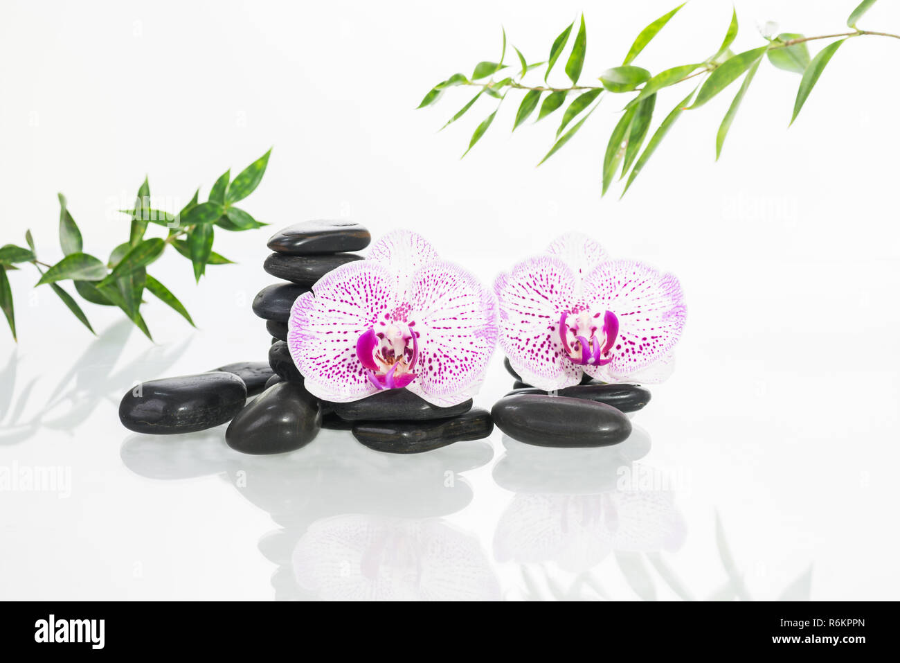 Spa concept with Phalaenopsis orchids, hot stones and bamboo leaves close up Stock Photo