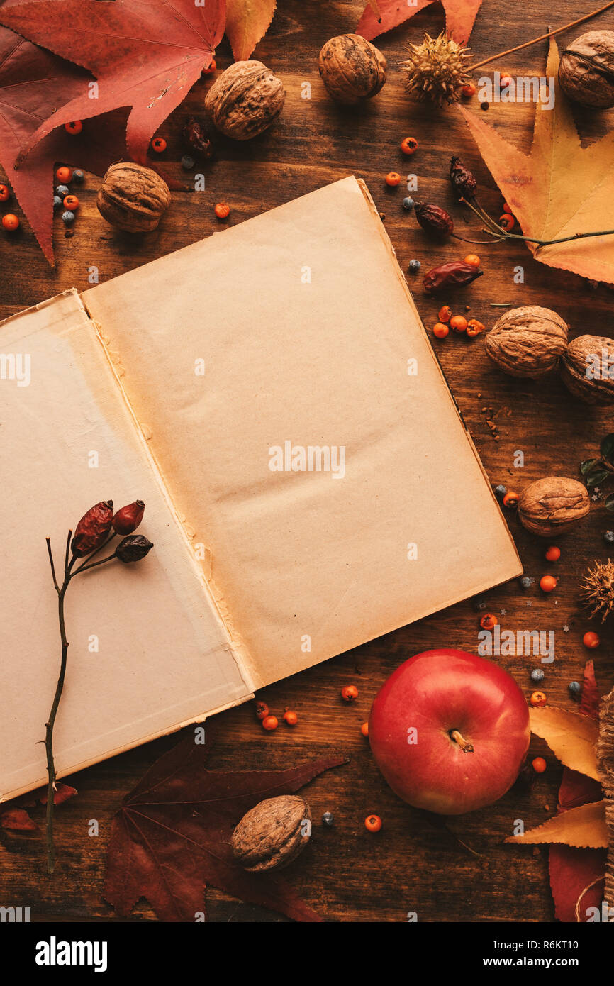 Blank diary page copy space with autumn decoration. Empty old mock up paper surface on the table, top view flat lay. Stock Photo