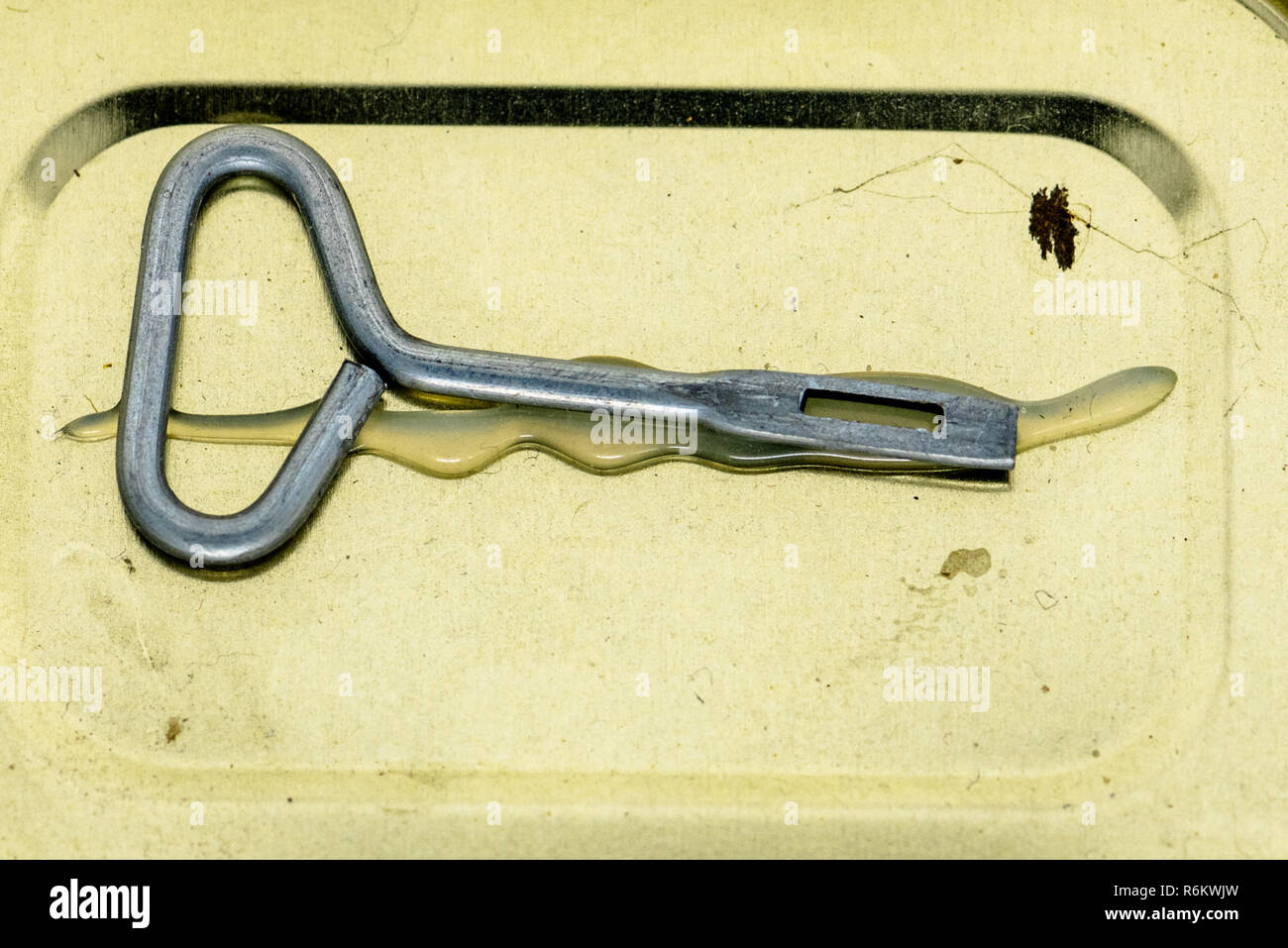 Key can opener on top a can of Princes Corned beef Stock Photo Alamy