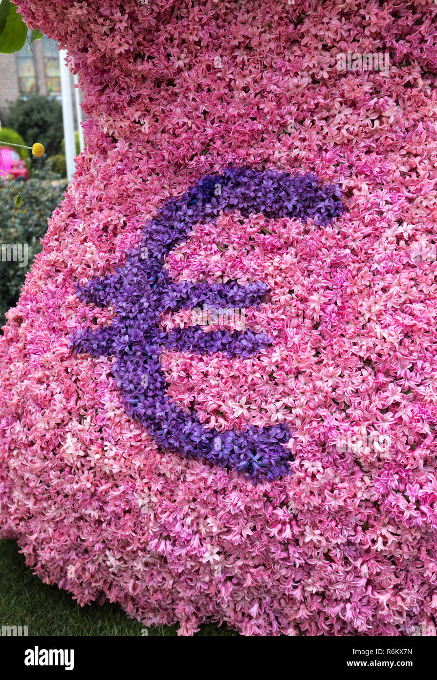 Platform with  tulips and hyacinths during the traditional flowers parade Bloemencorso from Noordwijk to Haarlem in the Netherlands. Stock Photo