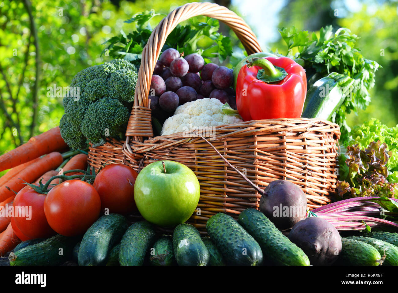 Variety of fresh organic vegetables and fruits in the garden Stock ...