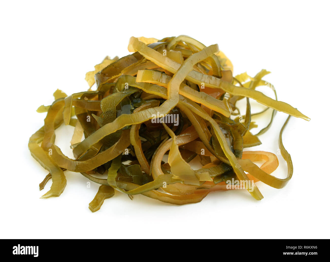 Kelp ( laminaria ) isolated on white background Stock Photo - Alamy
