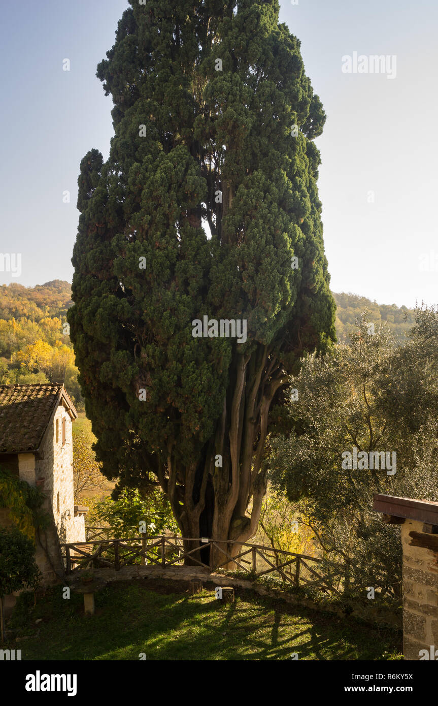 Cypress village hires stock photography and images Alamy