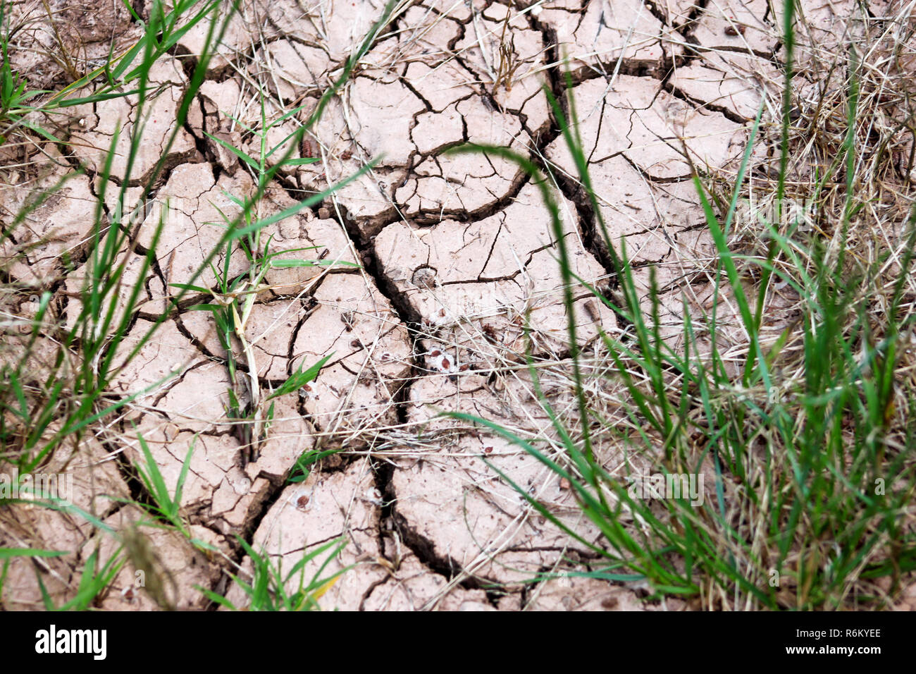 Page 2 Dry Grass Texture High Resolution Stock Photography And Images Alamy
