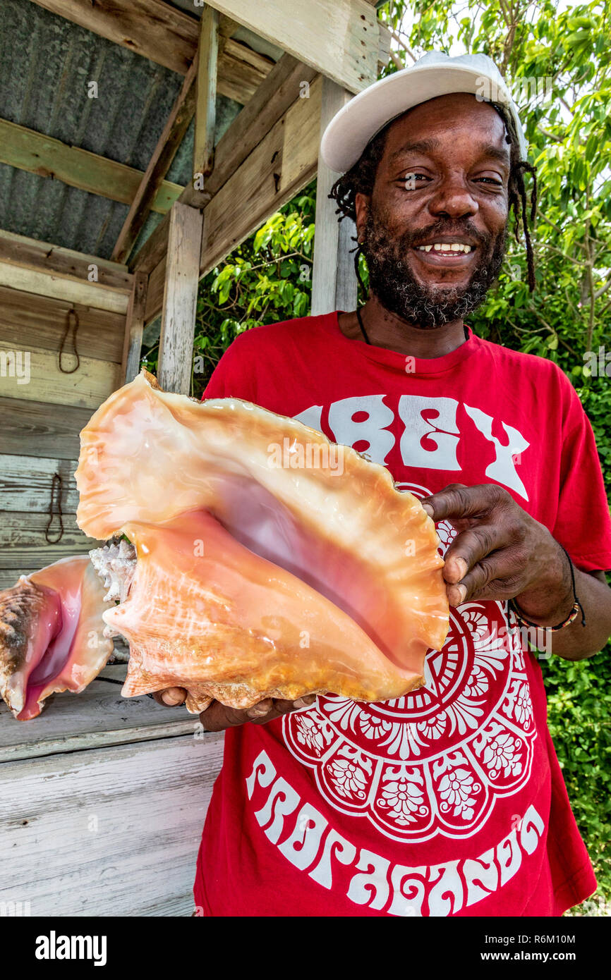 Pink conch shell clearance jewelry