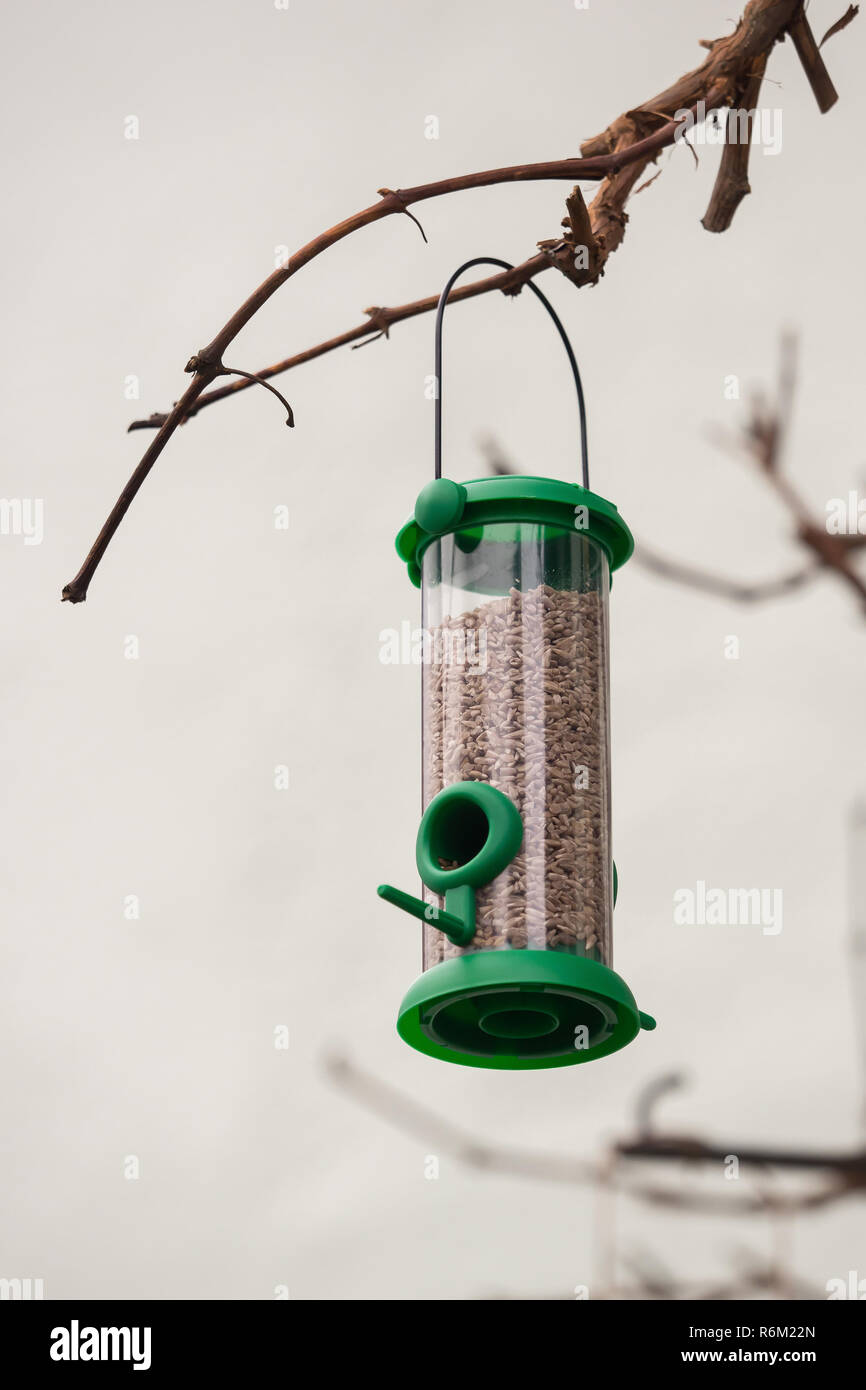 A modern birdhouse with food Stock Photo Alamy