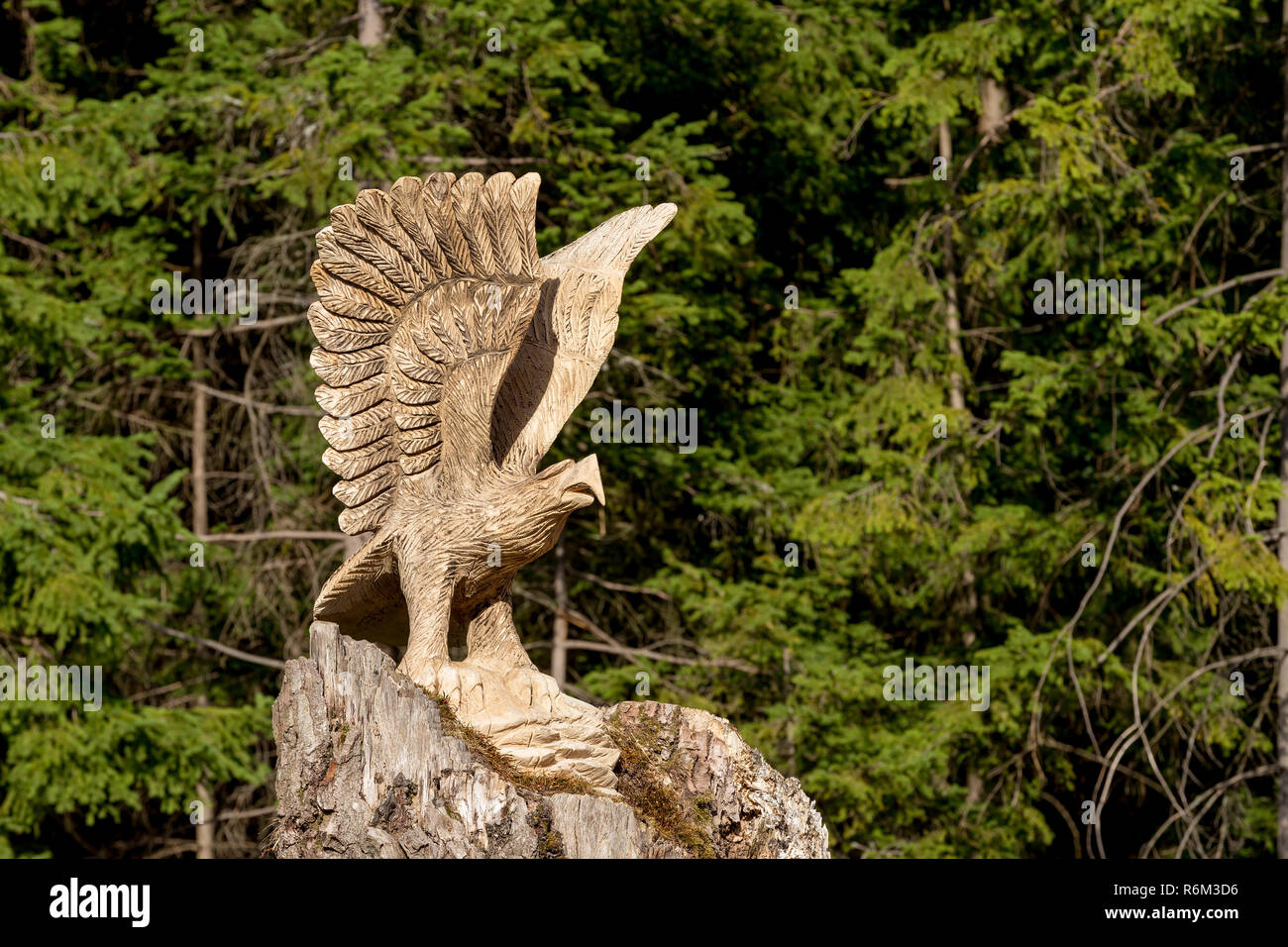 big wooden eagle statue Stock Photo Alamy