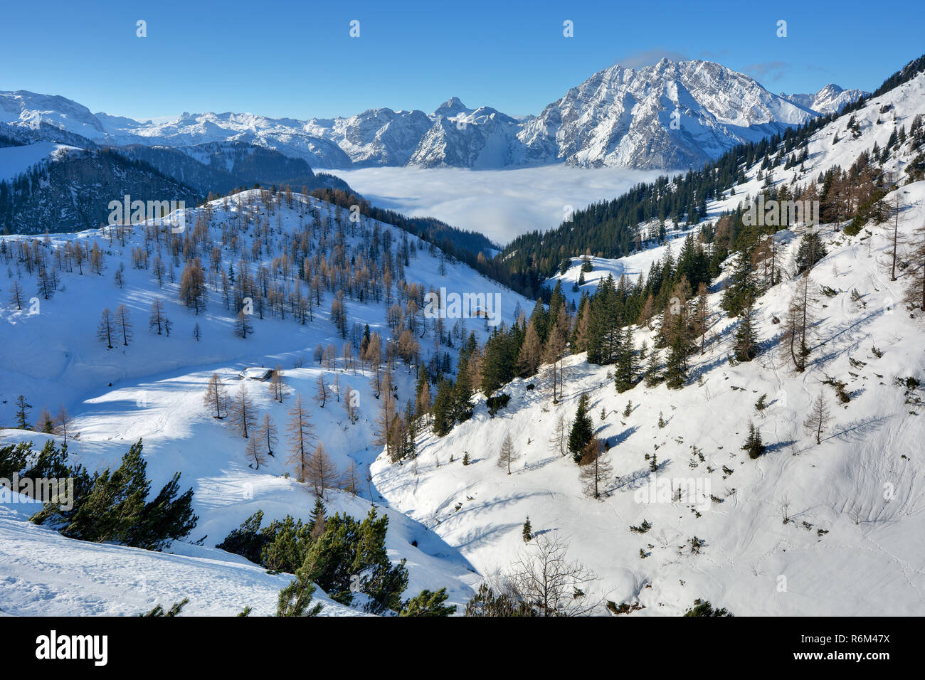 old winter landscape in berchtesgaden with the watzmann Stock Photo