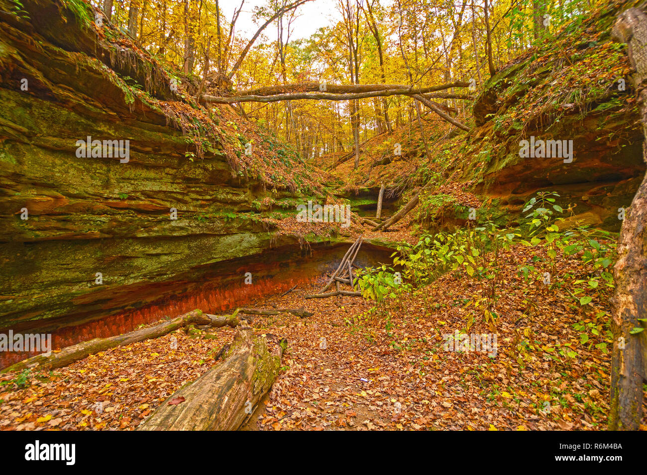 Hidden Canyon in the Fall Forest Stock Photo