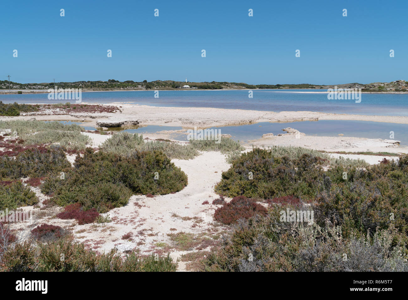 Salt Lakes On Rottnest Island western Australia Stock Photo Alamy salt-lakes-on-rottnest-island-western-australia-stock-photo-alamy