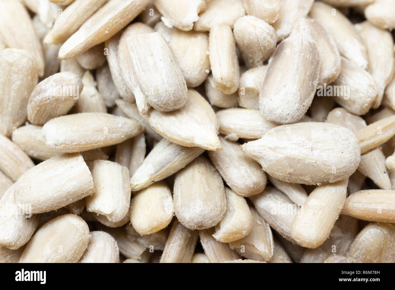 Sunflower seeds dehulled kernels macro Stock Photo Alamy
