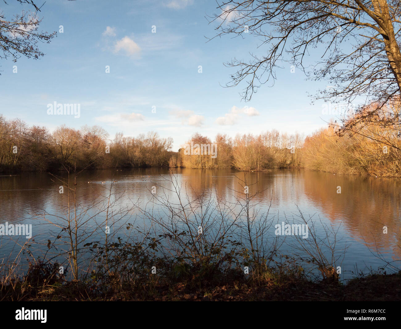 Springtime Lake beautiful springtime lake scene outside nature reserve dedham Stock ...