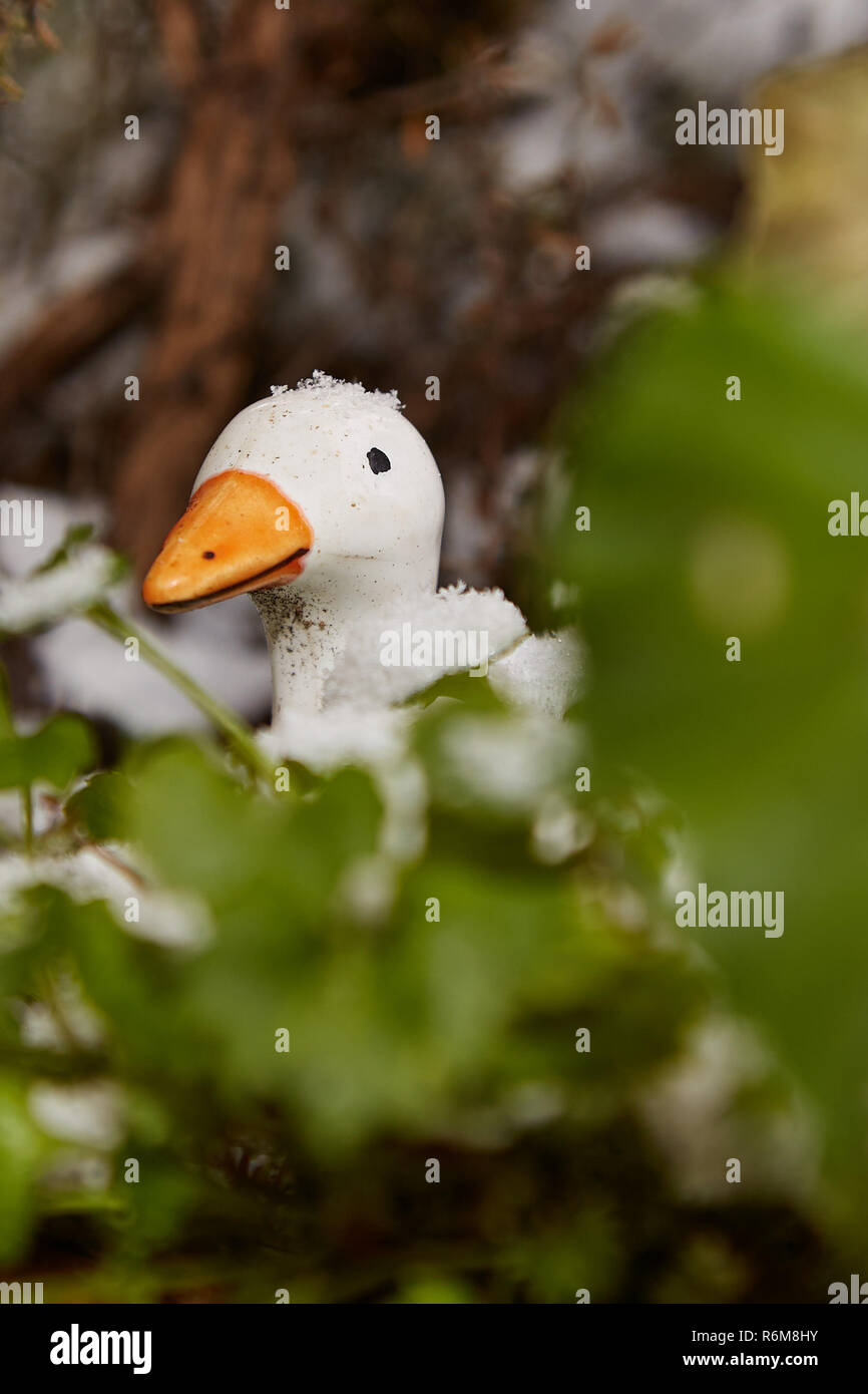 small ceramic goose in the balcony box Stock Photo Alamy