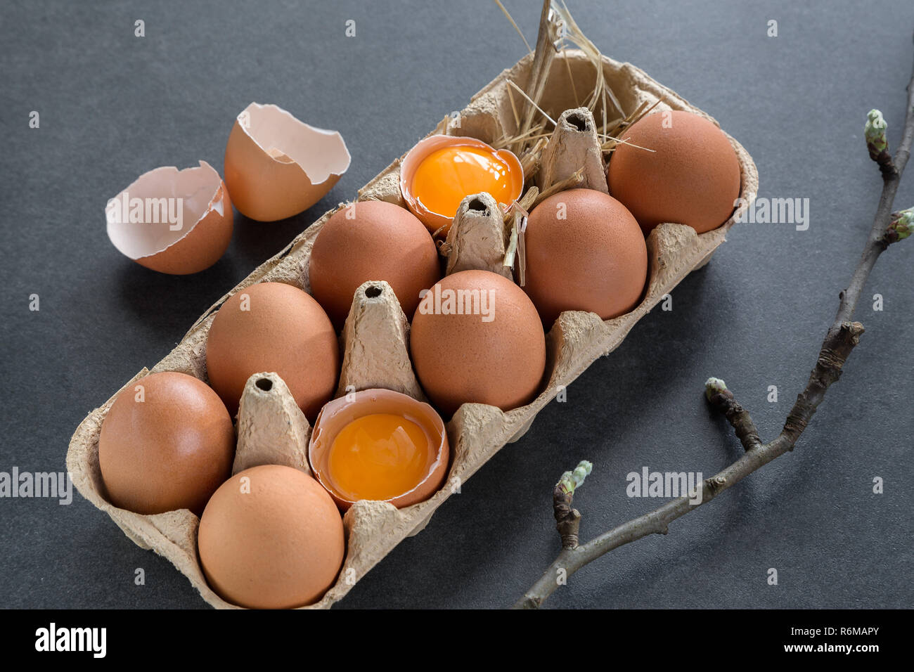 chicken eggs in a cardboard grid Stock Photo