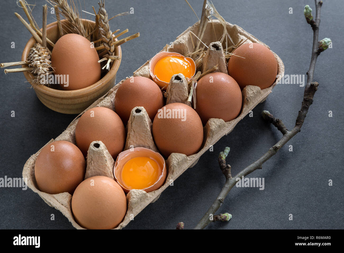 chicken eggs in a cardboard grid Stock Photo