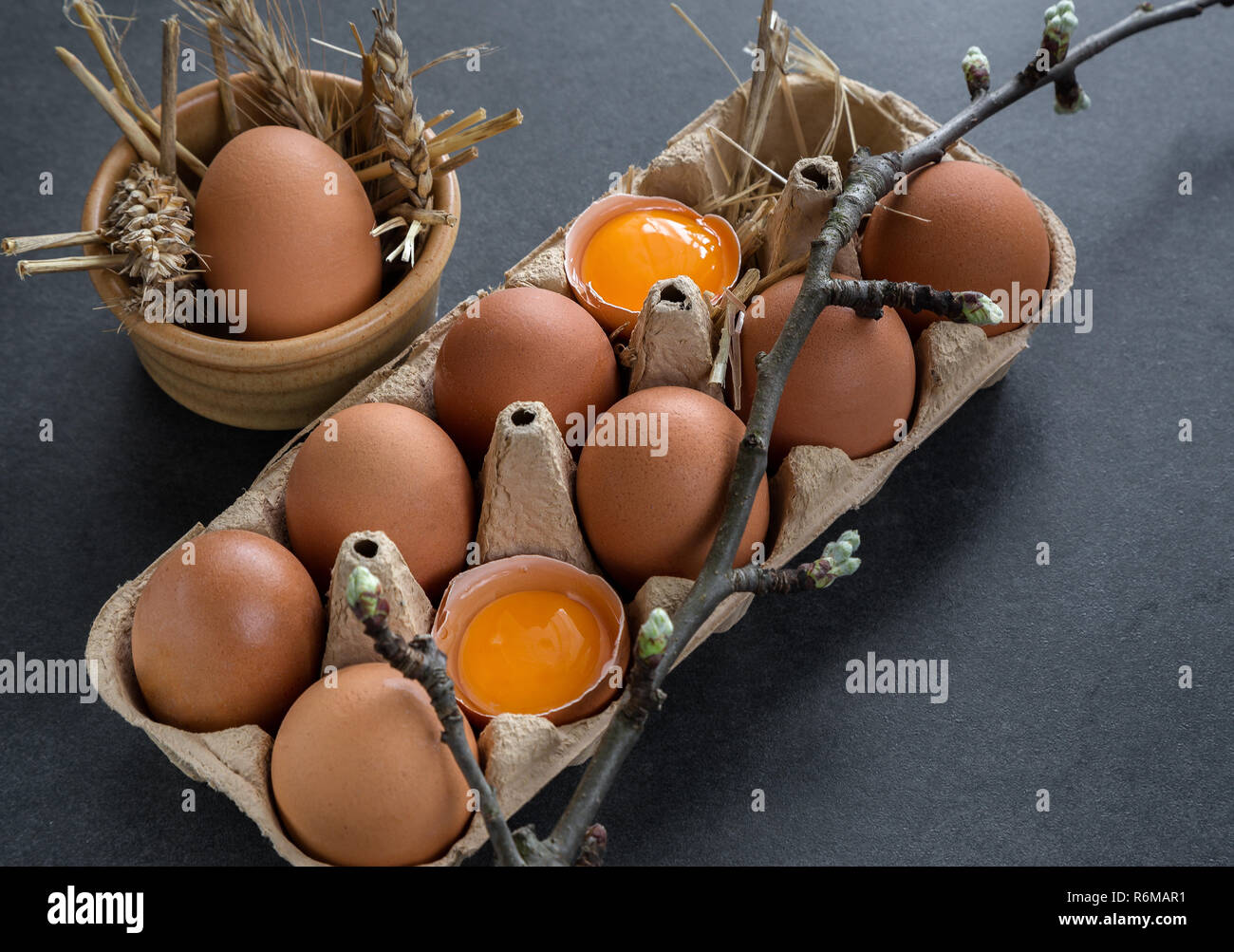 chicken eggs in a cardboard grid Stock Photo