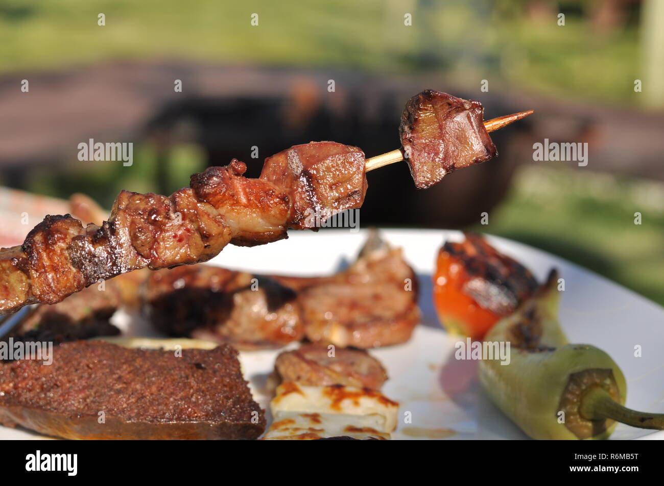 Traditional Cypriot meze and kebap barbecue party in the garden with ...