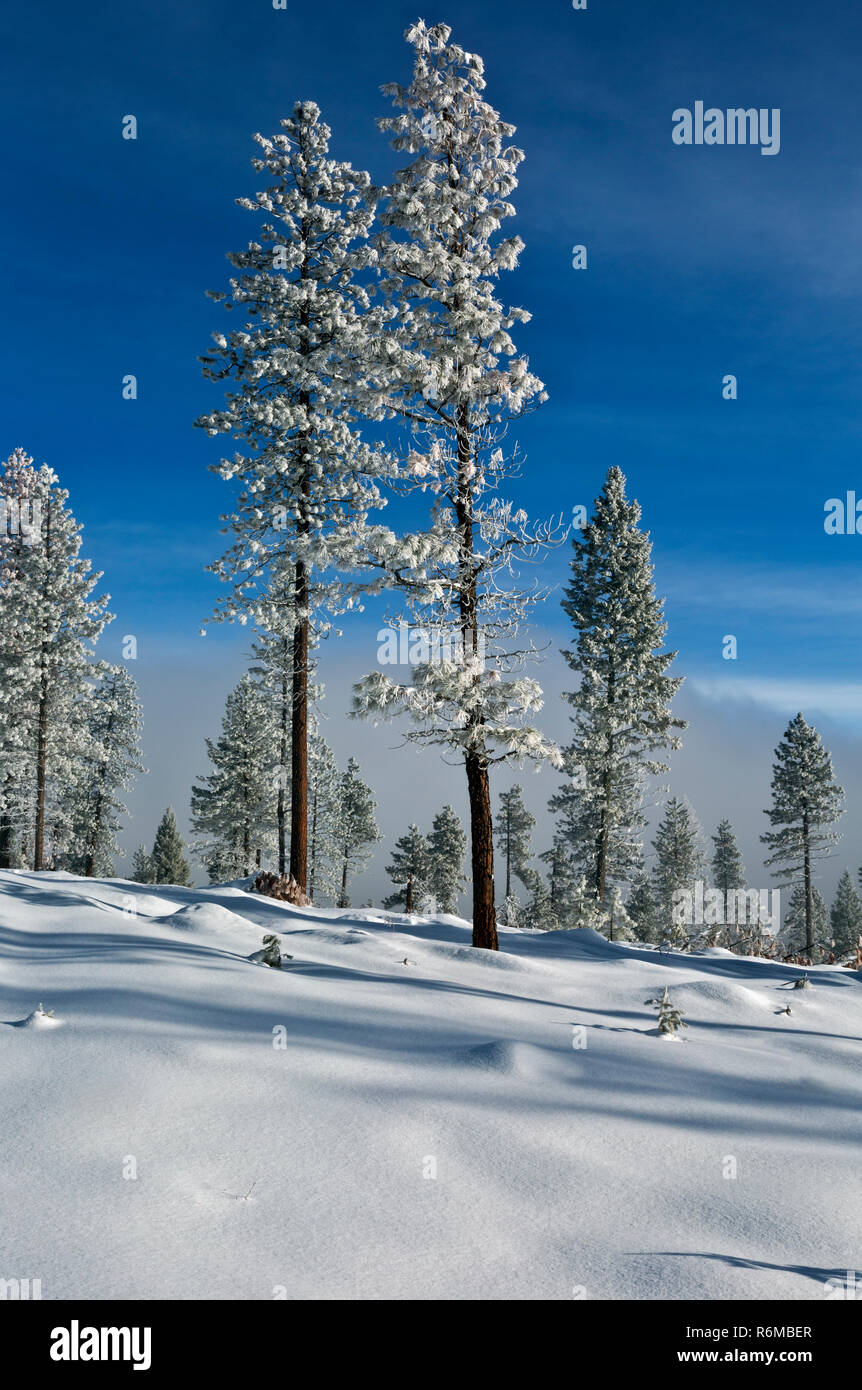 Loup loup pass hires stock photography and images Alamy