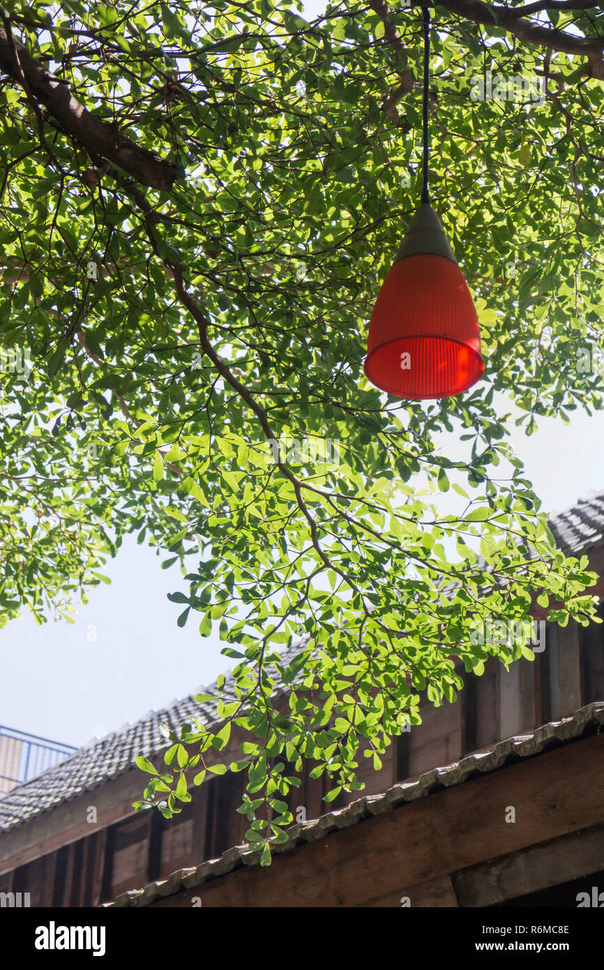 Bright lantern hanging on tree hi-res stock photography and images - Alamy