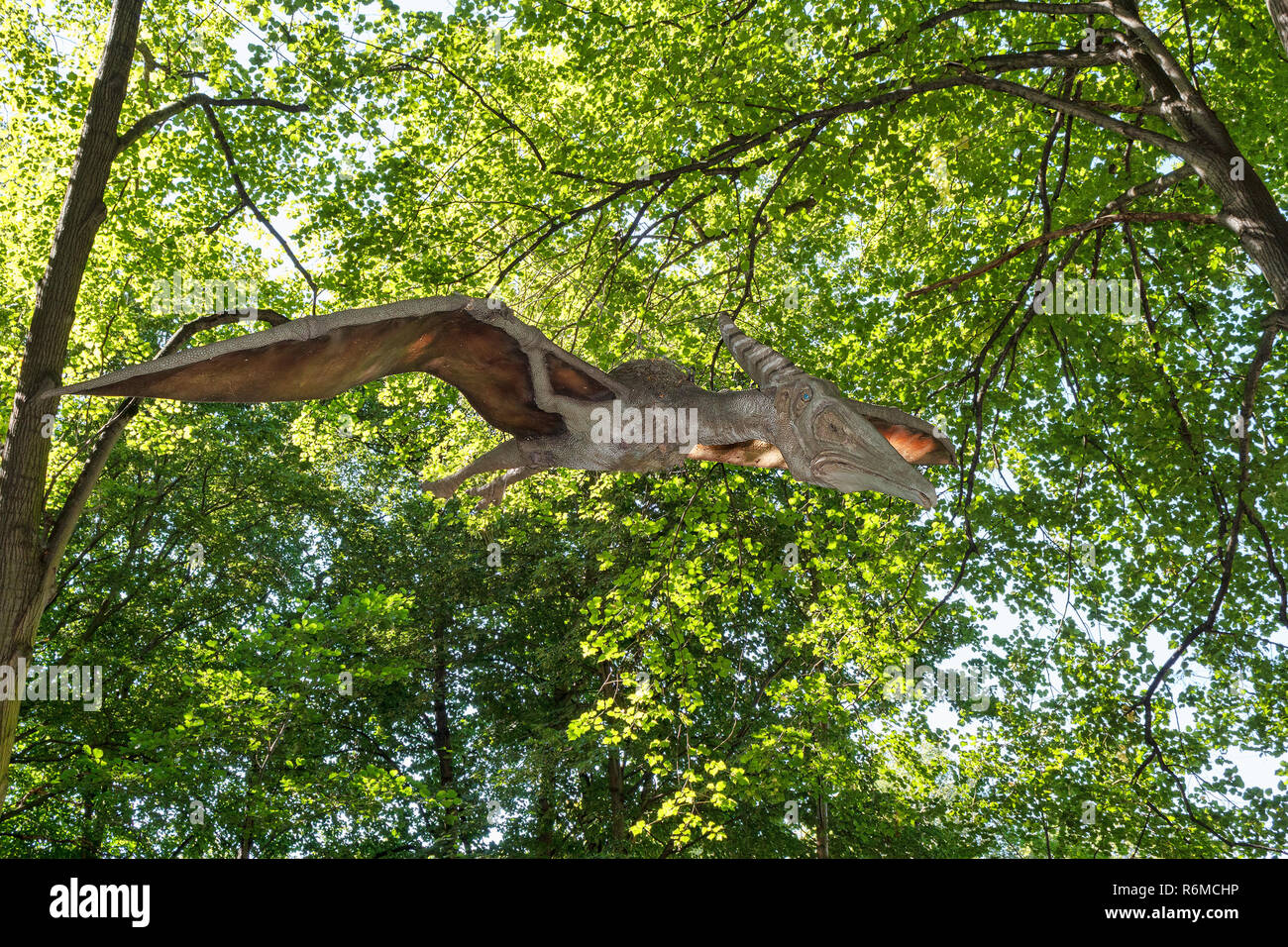 prehistoric flying dinosaur Pteranodon in nature Stock Photo