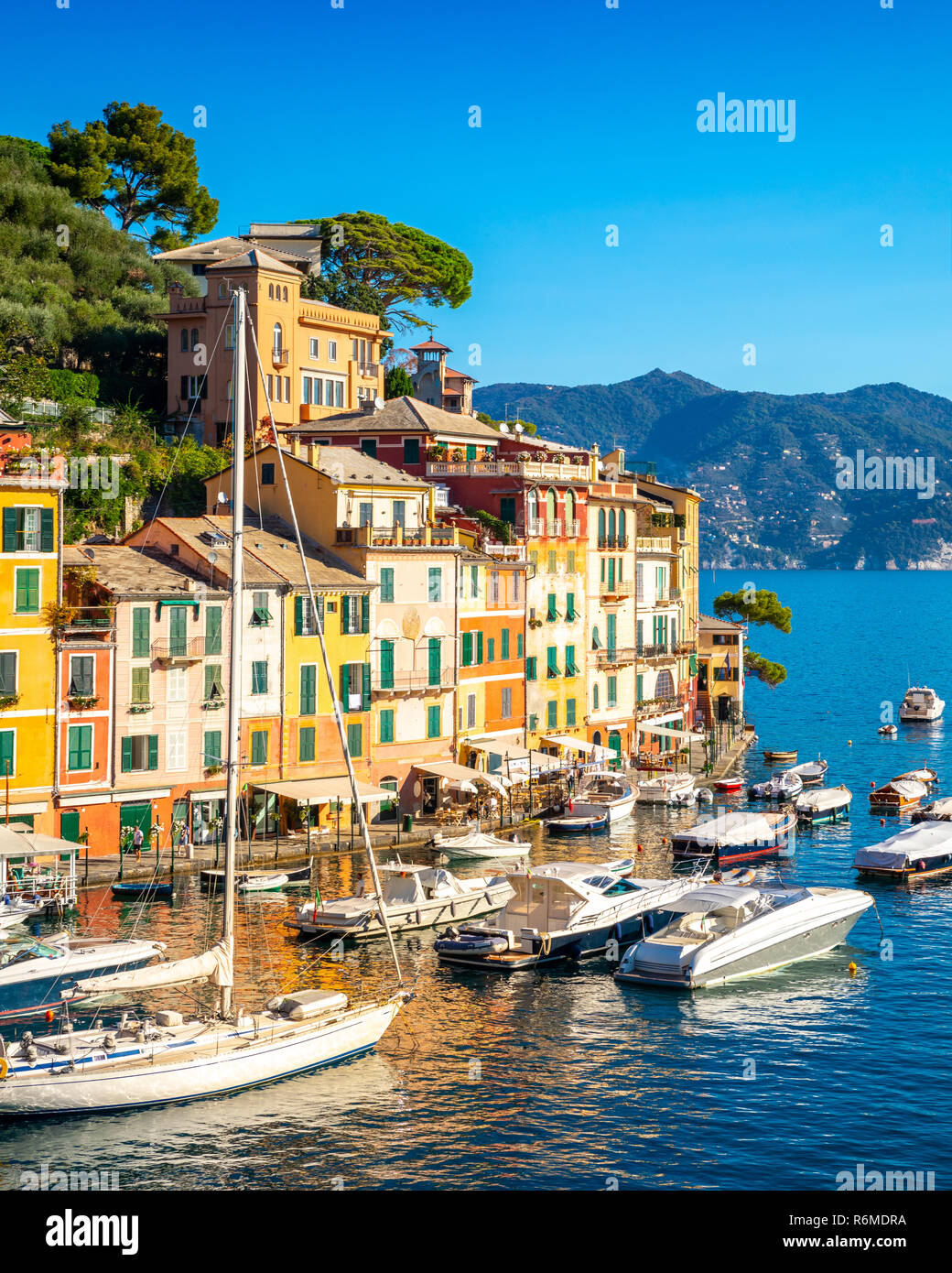 Beautiful Sea Coast With Colorful Houses In Portofino Italy Summer 