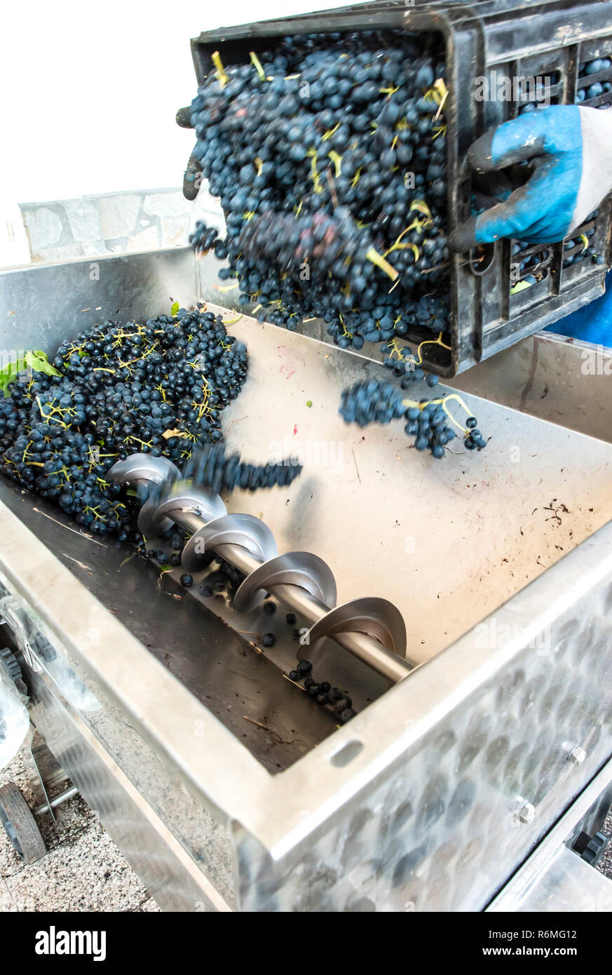 Grape crushing machine in a winery Stock Photo Alamy