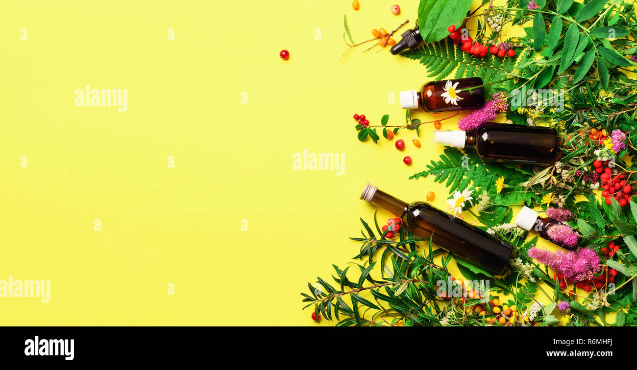Download Essential Oils In Dark Glass Bottles And Healing Flowers Herbs On Yellow Background Holistic Medicine Approach Healthy Food Eating Dietary Supplem Stock Photo Alamy Yellowimages Mockups