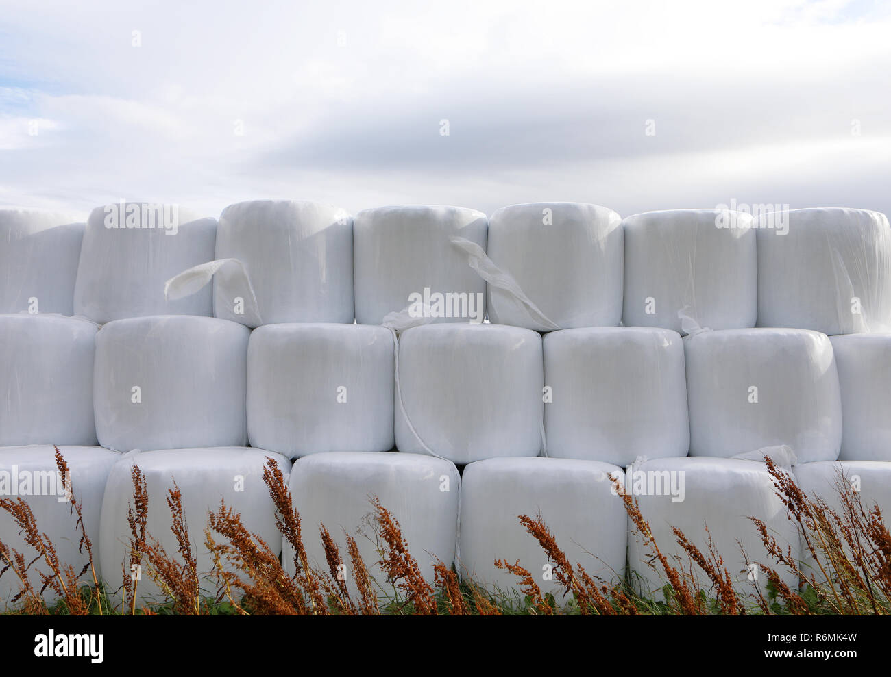 Hay bale plastic wrap hires stock photography and images Alamy