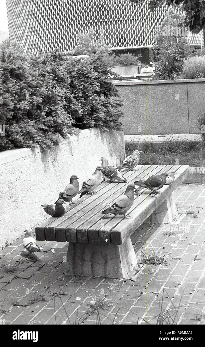 Black and white aid relief image Stock Photo Alamy