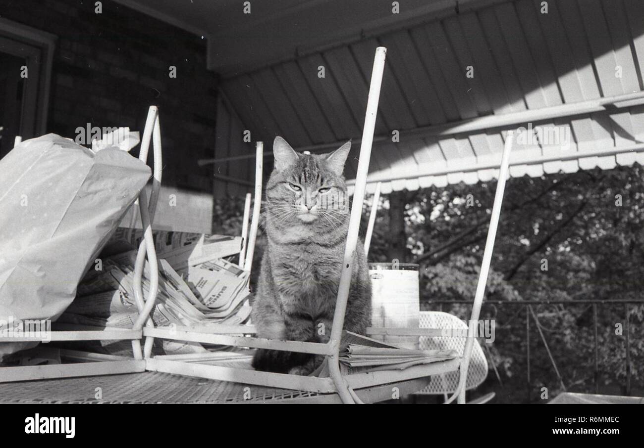 Black and white aid relief image Stock Photo Alamy