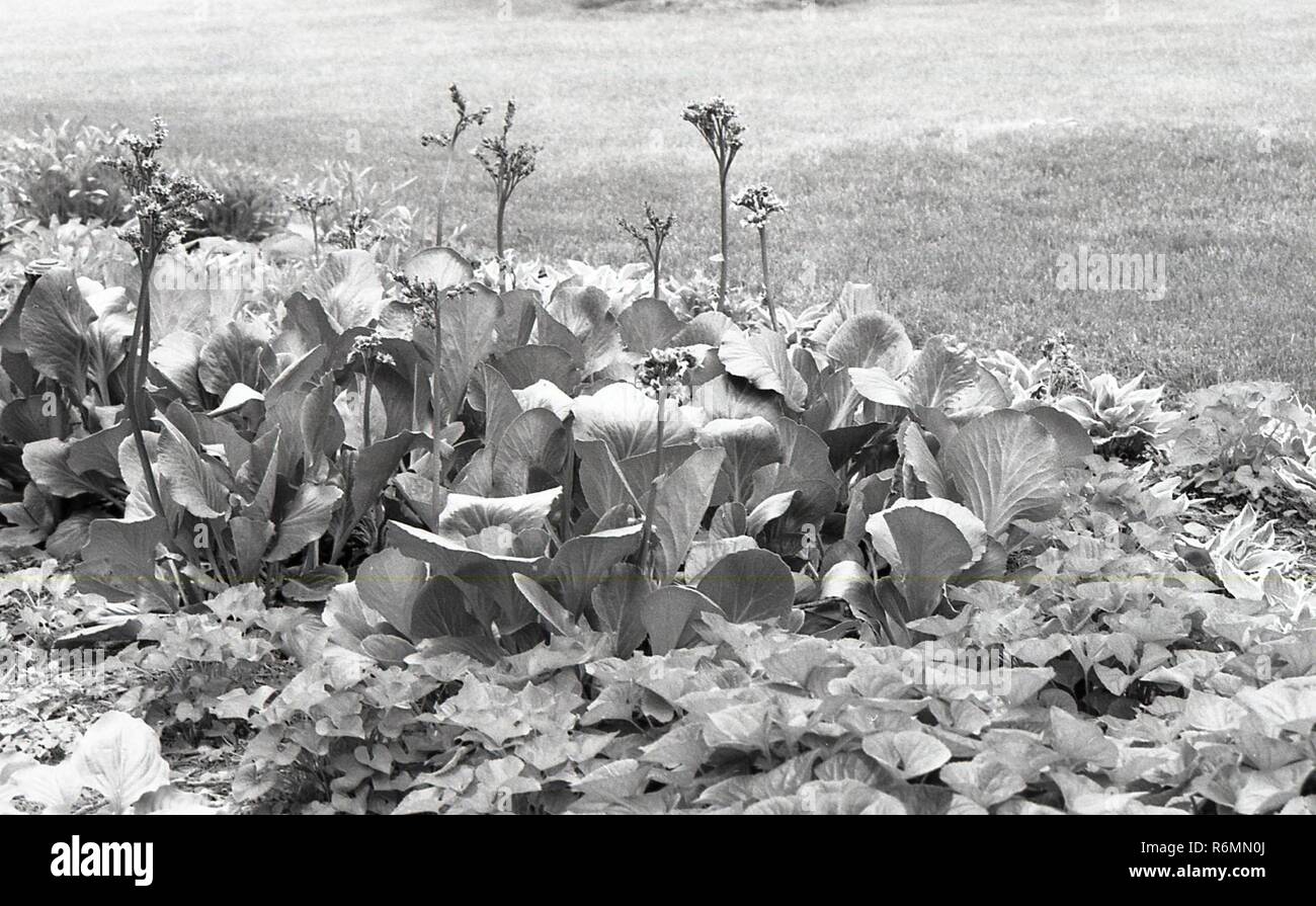 Black and white aid relief image Stock Photo Alamy