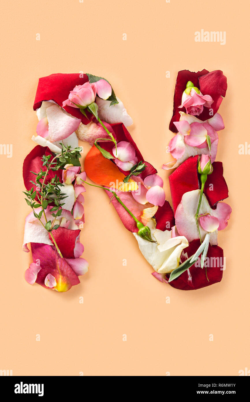 Alphabet H Made From Red Petals Rose Stock Photo, Picture and Royalty Free  Image. Image 13859895.