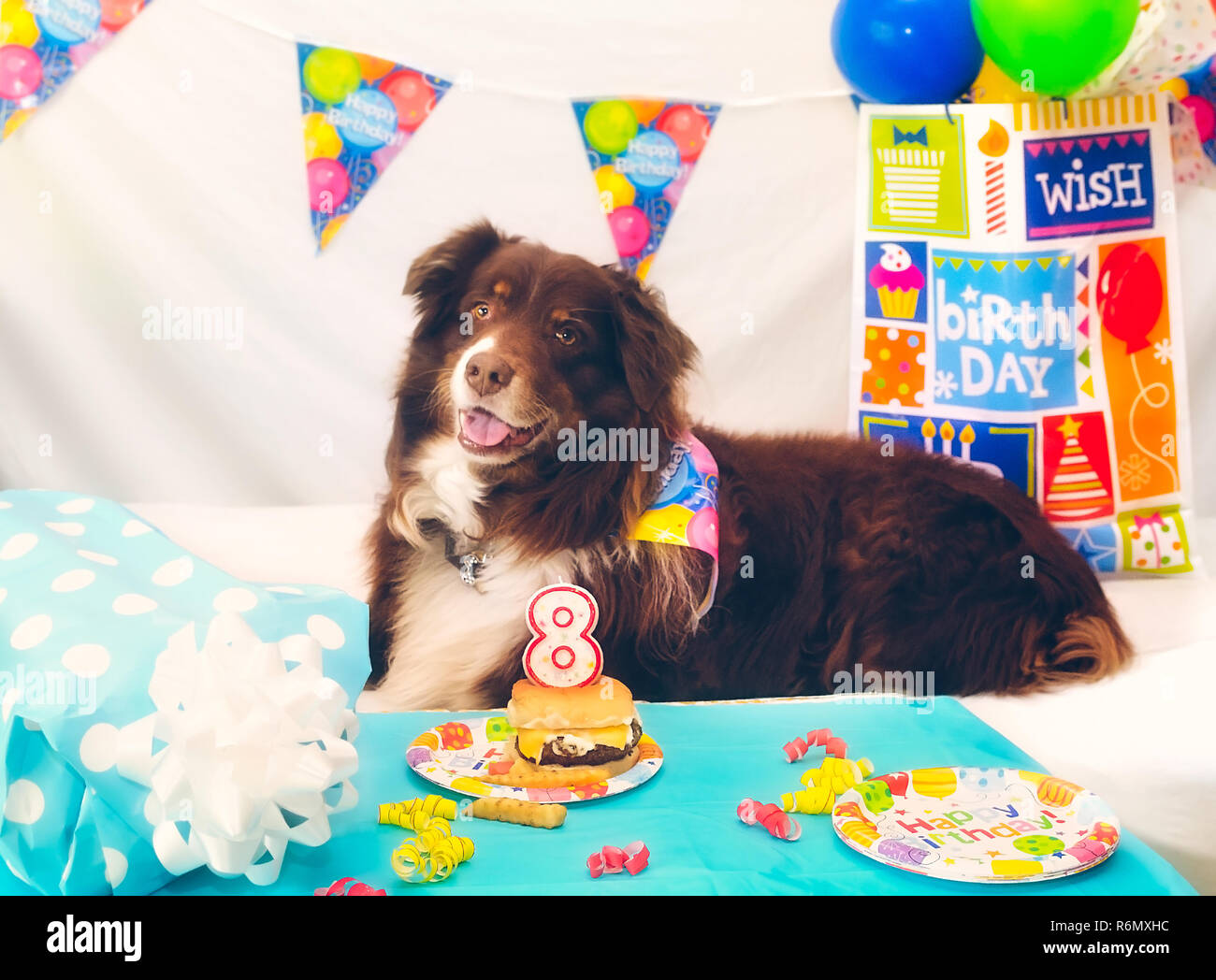 australian shepherd cake