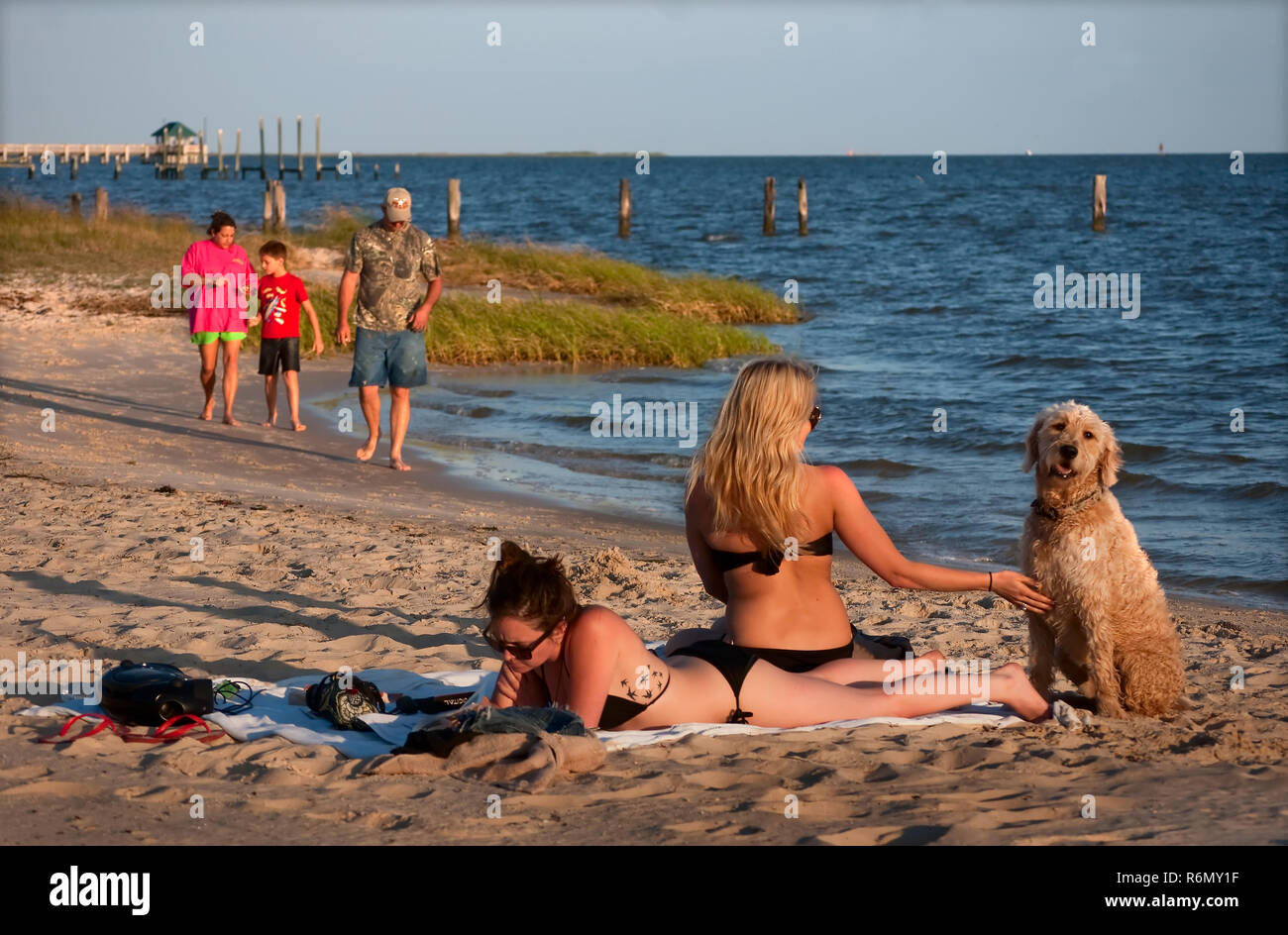 Women sunbathe with their dog, May 8, 2011 on Front Beach in Ocean Springs, Mississippi. Stock Photo