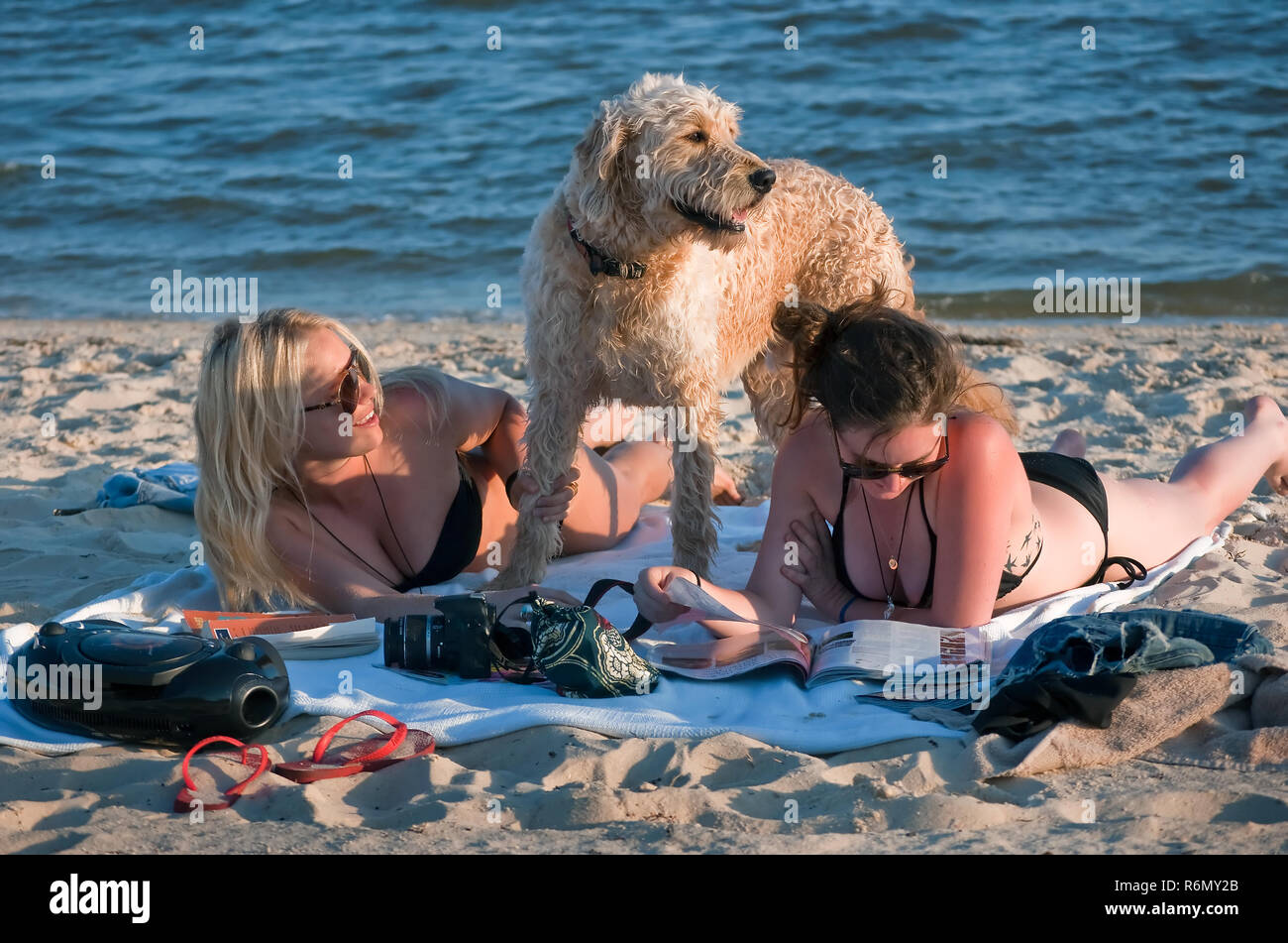 Women sunbathe with their dog, May 8, 2011 on Front Beach in Ocean Springs, Mississippi. Stock Photo