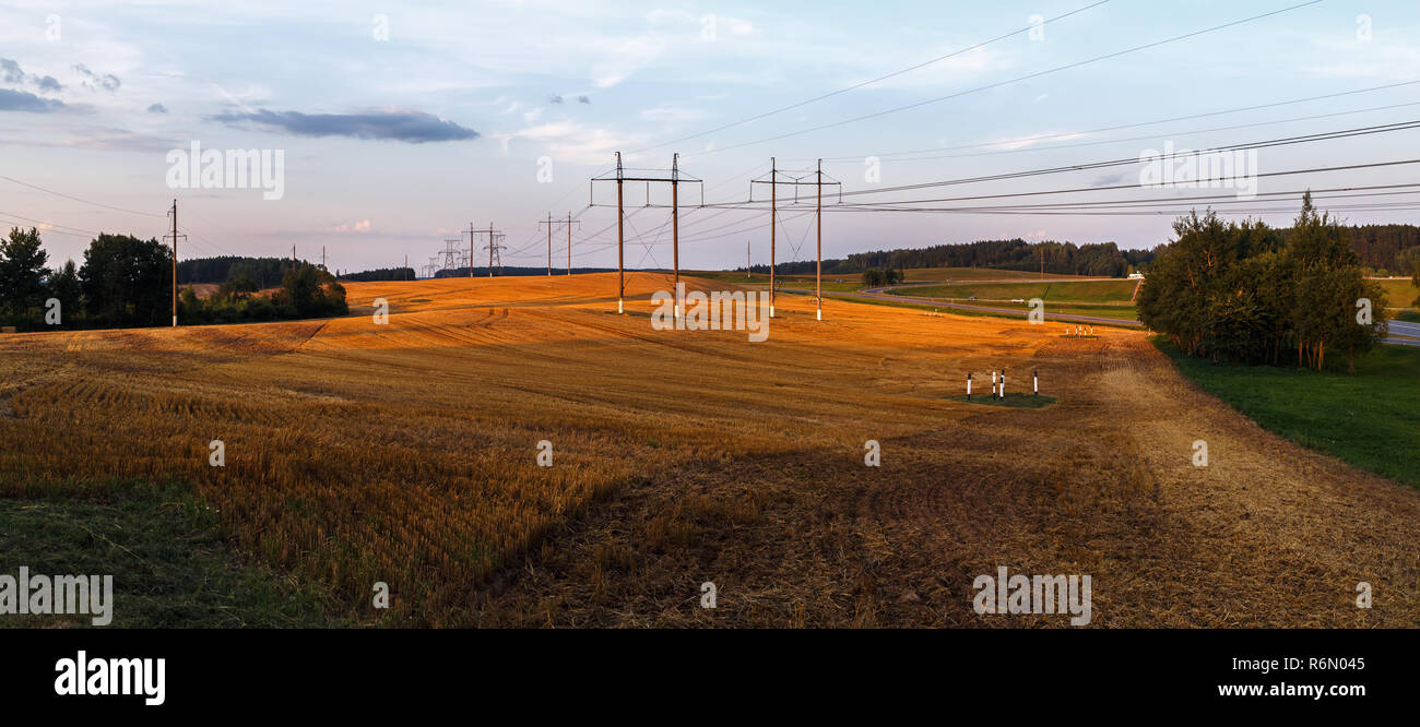 Field after harvest Stock Photo - Alamy