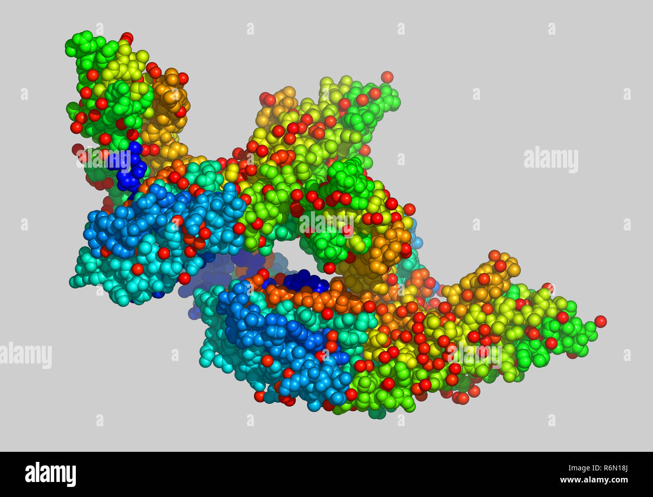 protein molecule model Stock Photo