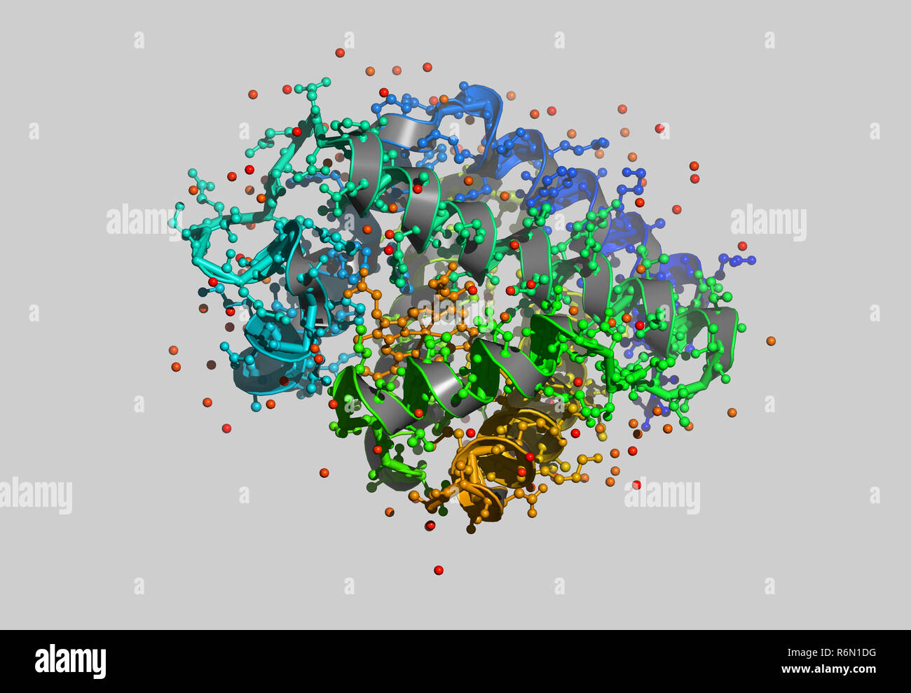 hÃ¤moglobin molecular model Stock Photo - Alamy