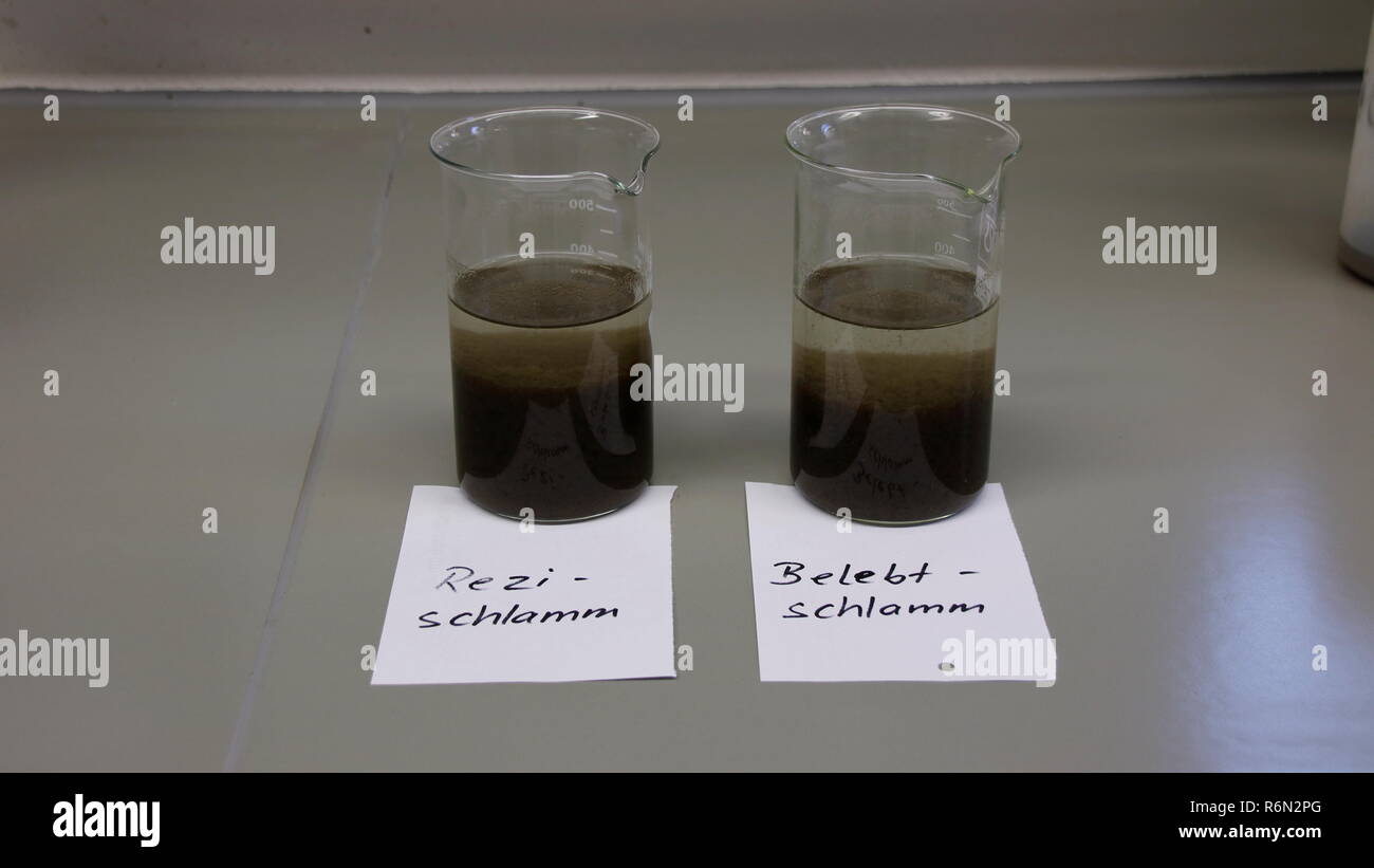 settlement test with sludge samples in the laboratory of a wastewater treatment plant Stock Photo