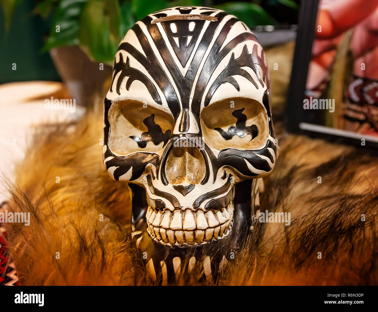 A tribal tattoo Maori skull replica sits on a table at the 34th annual Mobile International Festival, Nov. 17, 2018, in Mobile, Alabama. Stock Photo