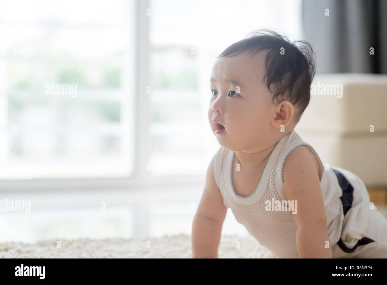 Baby crawling on carpet Stock Photo Alamy