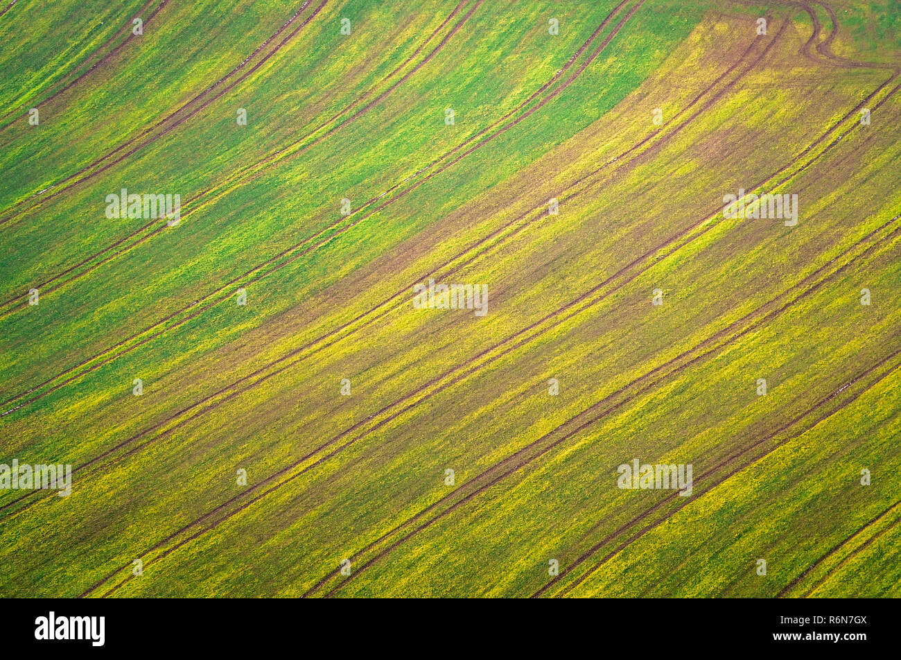 Yellow and green field background Stock Photo - Alamy