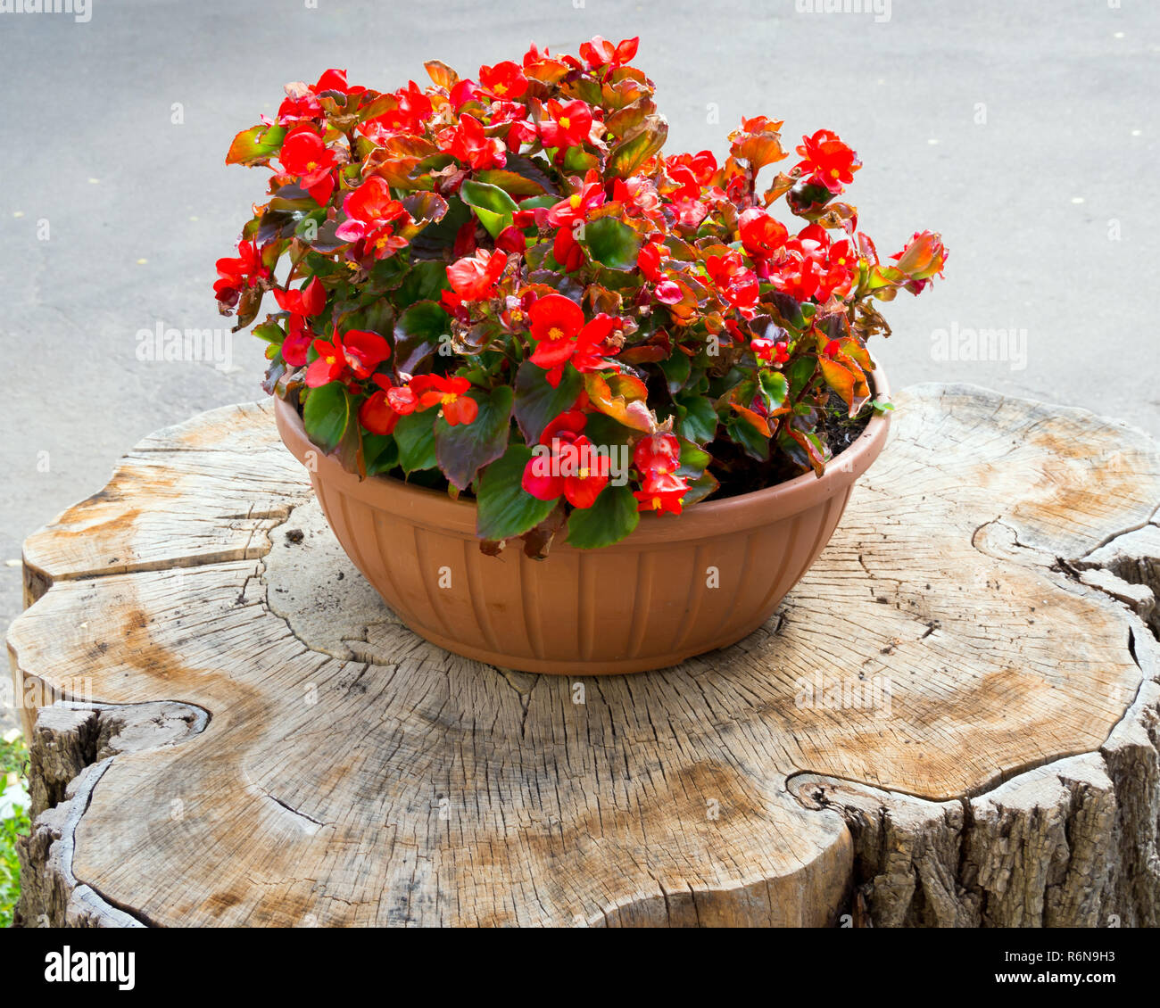 Flower pot stands hires stock photography and images Alamy