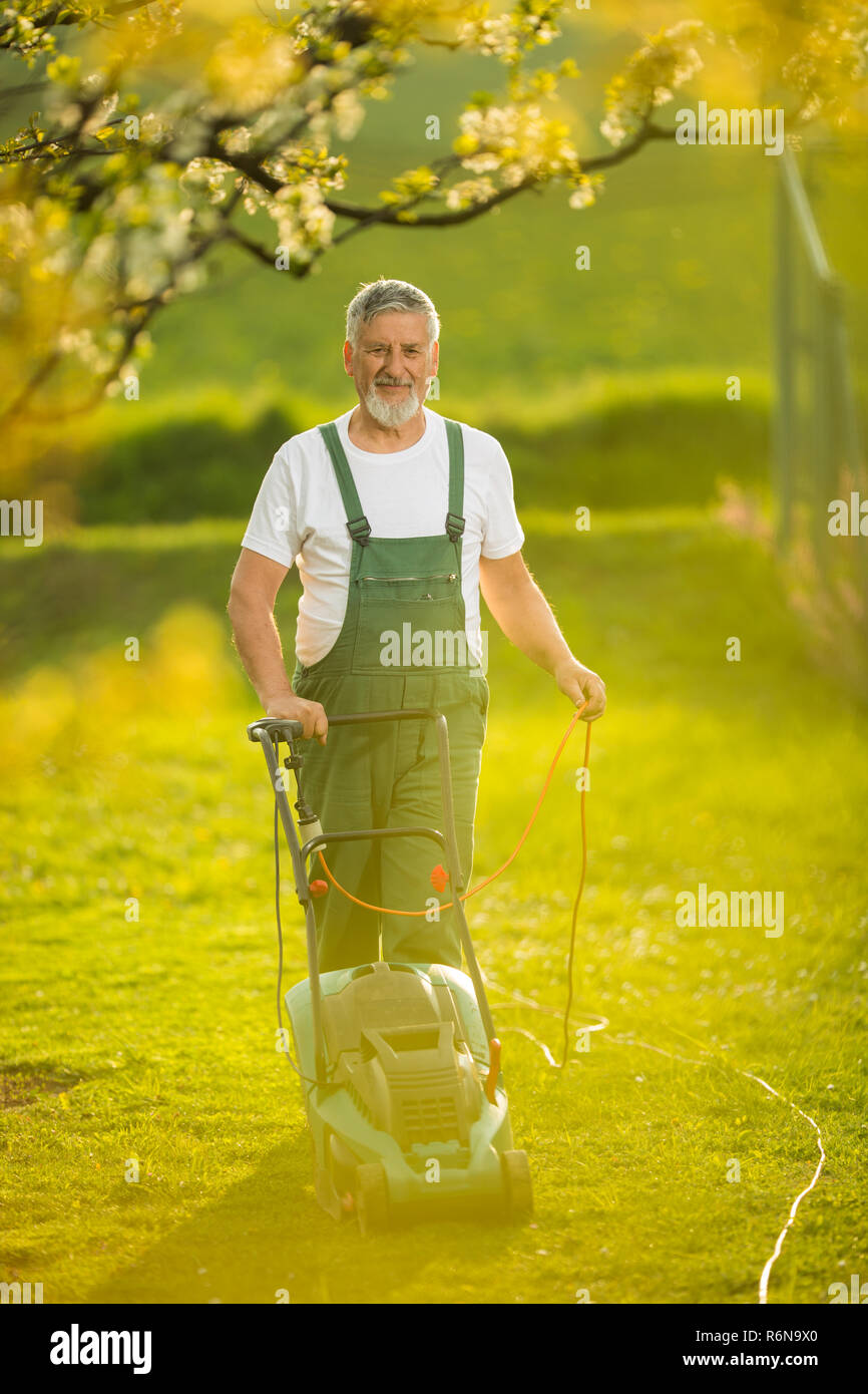 Portrait of senior man gardening, taking care of his lovely orchard, ejoying actively his retirement Stock Photo