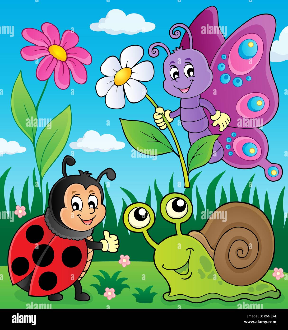 Insect 1 hi-res stock photography and images - Alamy